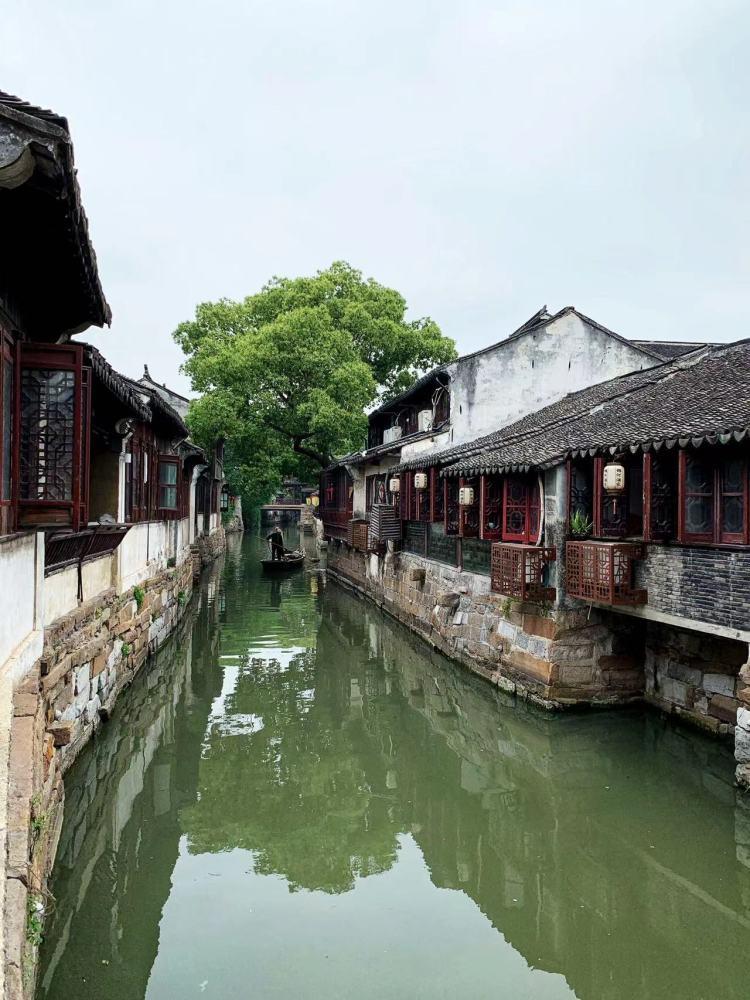 孤独的流浪者救援